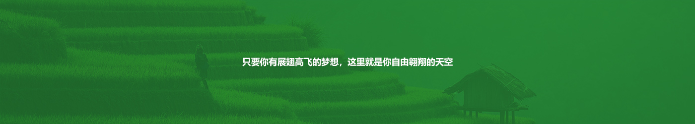 365速发国际购票大厅(中国游)官方网站